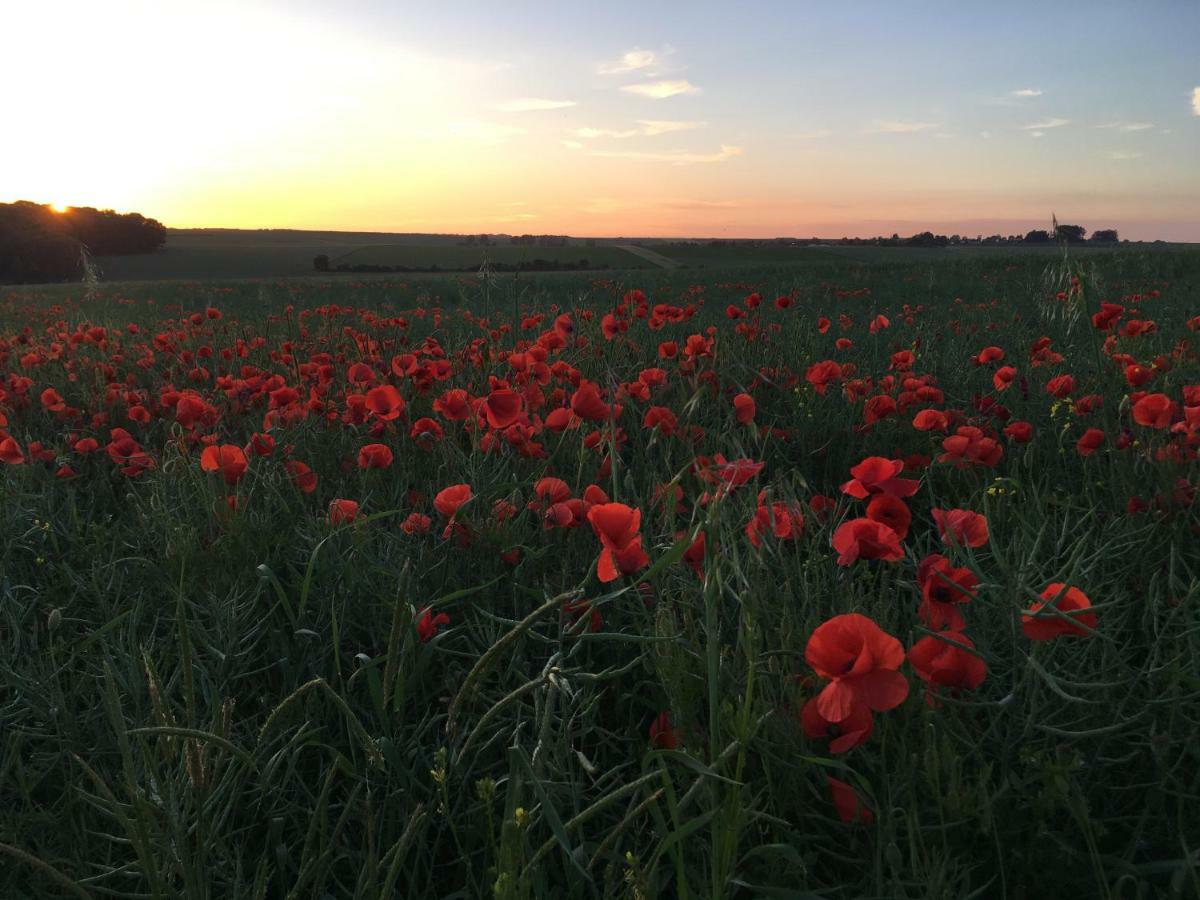 Dupres House, Chavasse Farm, Somme Battlefields Villa Hardecourt-aux-Bois Ngoại thất bức ảnh